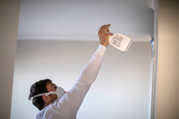 Best Attic Mold Remediation in Tarkio, MO